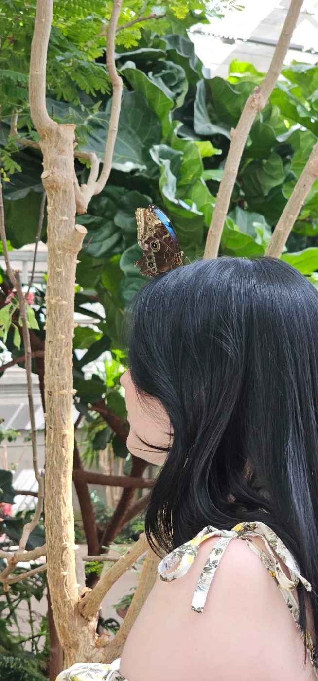 A butterfly resting on Brianna's hair in a conservatory
